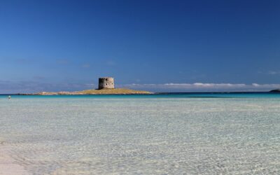 Alghero, Mediterranean Aromas and Flavors