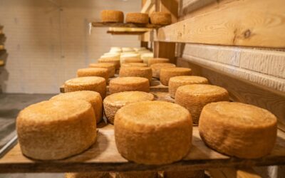 Hidden Treasures and Rebellious Flavors: The Italian Food and Wine You Need to Know